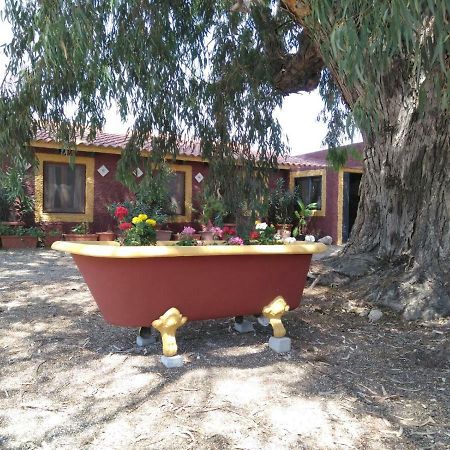 Casa Del Procurador Guest House Las Virtudes ภายนอก รูปภาพ