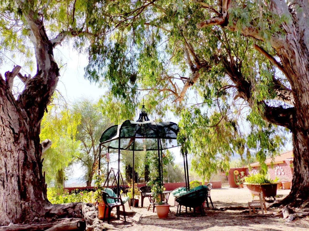 Casa Del Procurador Guest House Las Virtudes ภายนอก รูปภาพ
