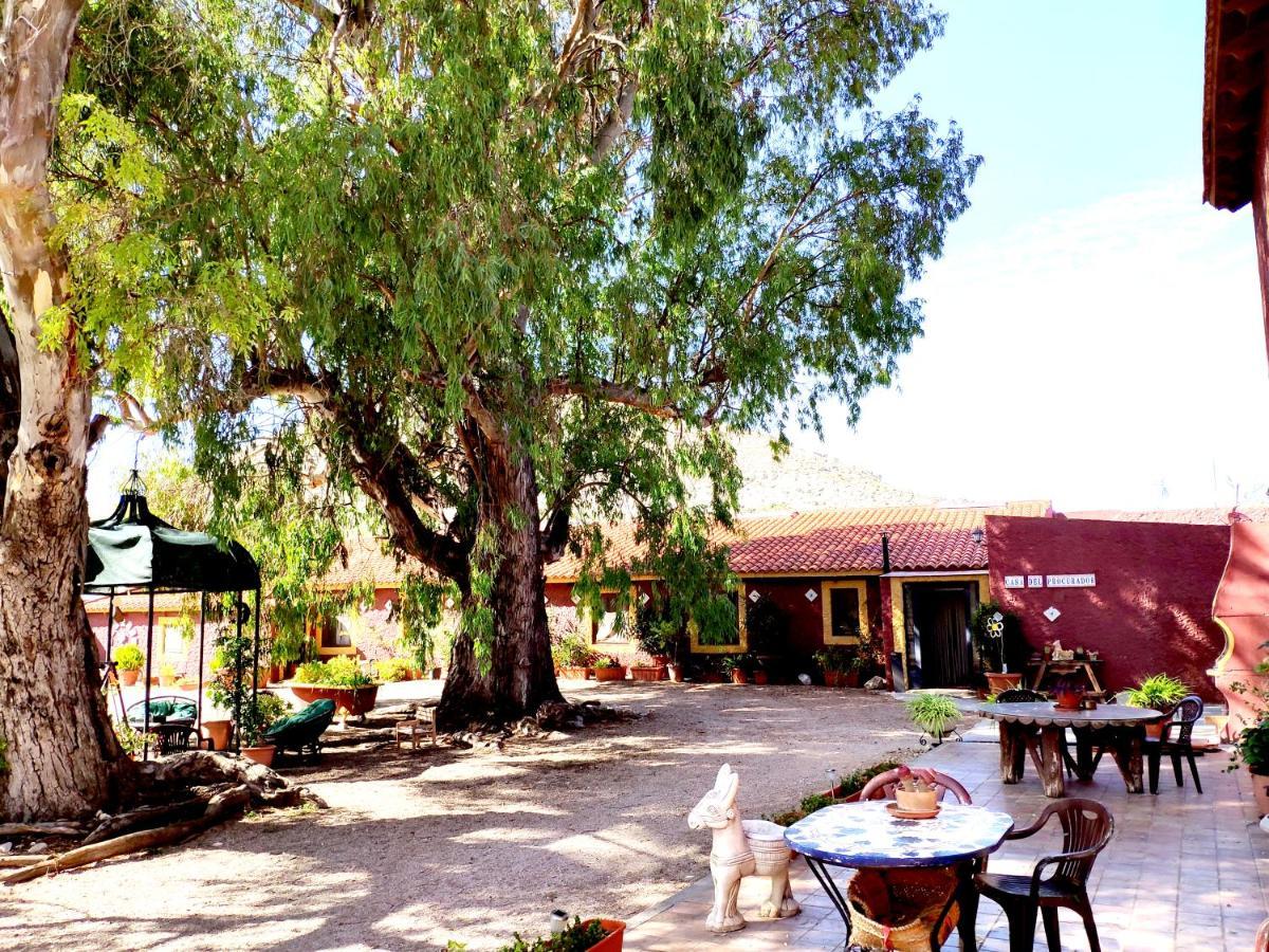 Casa Del Procurador Guest House Las Virtudes ภายนอก รูปภาพ