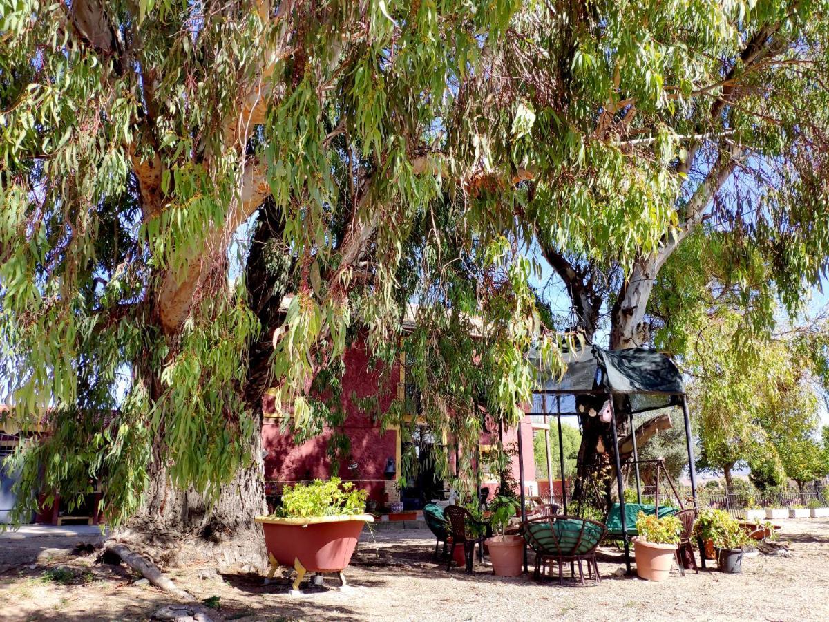 Casa Del Procurador Guest House Las Virtudes ภายนอก รูปภาพ