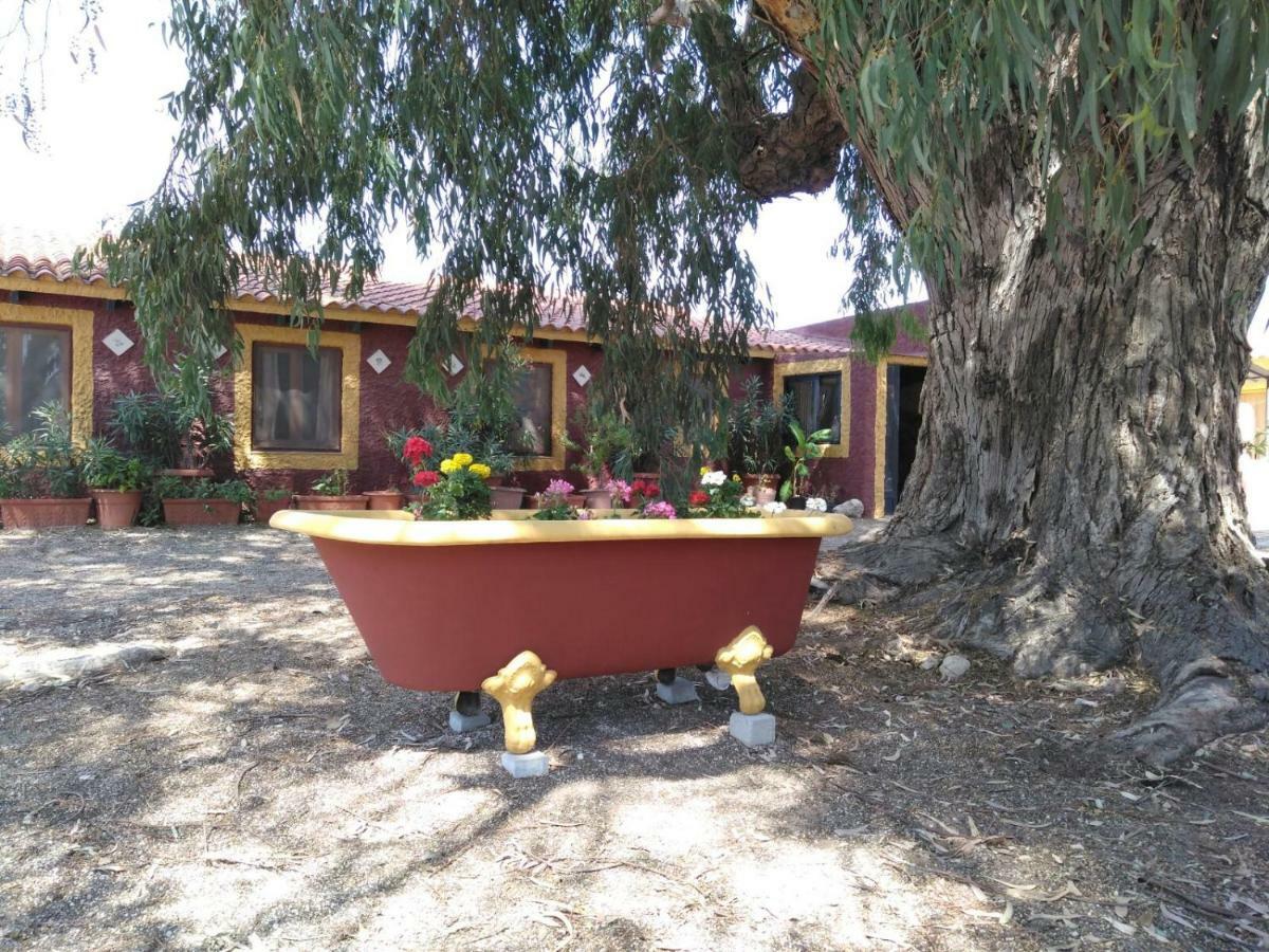 Casa Del Procurador Guest House Las Virtudes ภายนอก รูปภาพ